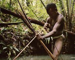 Tới Tây Papua xem bộ lạc Kombai làm nhà cao chót vót