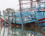 Một ngư dân bị sóng đánh văng khỏi tàu, mất tích