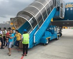 Vietnam Airlines vận chuyển đào, mai dịp Tết Canh Tý giá 495 ngàn/bó