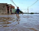 Bình Định sơ tán khẩn cấp hơn 150 hộ dân vì lo vỡ đê