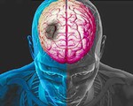 Thời tiết lạnh đột ngột, người bệnh tim mạch dễ đột quỵ bất cứ lúc nào