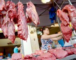 Bị ung thư không nên ăn thịt?