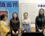 Vụ du khách Việt 
