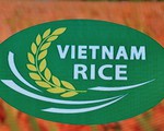 Công bố chính thức logo thương hiệu Gạo Việt Nam