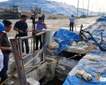 Công ty môi trường bị phạt gần 2 tỉ đồng do... vi phạm môi trường