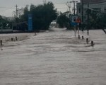 Phú Yên: Mưa lũ ngập đường, hàng ngàn hecta ruộng mất giống