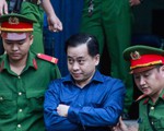 Gia đình Vũ 