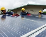 Điện mặt trời vướng dây dẫn
