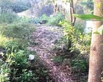 Nghi án tài xế Grab bị sát hại cướp tài sản ở Bình Chánh