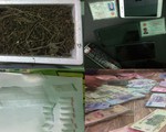 Bắt nữ quái chuyên bán ma túy cho hơn 30 con nghiện