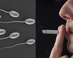 Cha hút thuốc, con trai giảm khả năng sinh sản