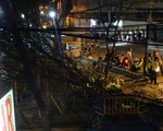 Không giông gió, cây gãy nhánh đè hai trẻ em trong công viên