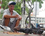 Người nuôi chim trời giữa lòng  thành phố