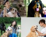 Điểm danh các nghệ sĩ Hoa ngữ tình nguyện làm &quot;sen cho chó&quot;