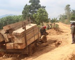 Thêm vụ phá rừng quy mô lớn tại Đắk Lắk