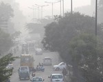 New Delhi trồng cây cải thiện môi trường
