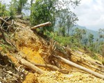 Hai phóng viên điều tra khai thác quặng tố bị giam lỏng, lột áo quần