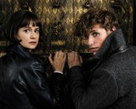 Chào mừng trở lại thế giới phù thủy của Harry Potter