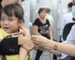 Đừng lơ là khi bị chó cắn