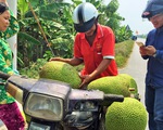 Giá mít Thái cao kỷ lục, một triệu đồng một trái 20 kí