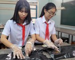 Học sinh lớp 9 làm dự án cho sâu ăn rác thải