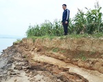Cát tặc quần thảo sông Lam, đất của dân sạt lở từng ngày