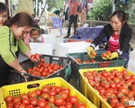 Lấy gì để 5 năm sau nông dân thu nhập 66 triệu đồng mỗi năm?