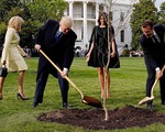 Cây sồi ông Macron, ông Trump cùng trồng ở Nhà Trắng biến đi đâu?