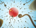 Trung Quốc áp tiêu chí phẩm chất chính trị với người hiến tinh trùng