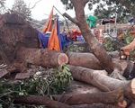 1 người chết, 200 nhà hư hỏng trong lốc xoáy bất ngờ tại Đắk Lắk
