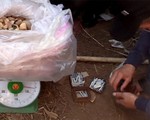 Bình Định bắt vụ vận chuyển, tàng trữ gần 20kg thuốc nổ