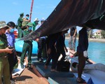 Vật thể lạ phát nổ, 3 ngư dân tử vong ở Hoàng Sa