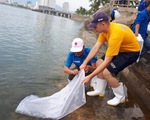 Thủy thủ tàu bệnh viện hải quân Mỹ làm sạch biển Nha Trang