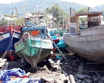 Kiên Giang chấm dứt việc giao bãi bồi ven biển cho hợp tác xã