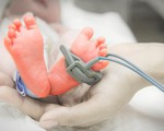 Có thể chẩn đoán sinh non bằng xét nghiệm máu?