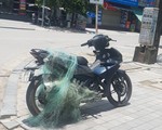CSGT bắn lưới bắt xe vi phạm, phát hiện súng tự chế