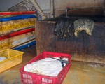 Bắt quả tang cơ sở ngâm hóa chất tẩy trắng hàng trăm ký nội tạng bò