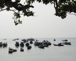 Đầu tư 42 tỉ xây dựng khu bảo tồn biển Lý Sơn