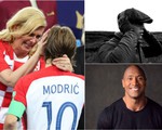 16-7: Bức ảnh Tổng thống Croatia lau nước mắt cho Modric gây xúc động mạnh