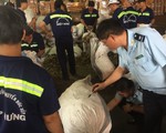 Hải quan TP.HCM sẽ tinh giản gần 20 đội, dư 60 người