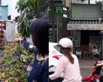 20 năm không thi hành được vì bản án bị... rớt chữ