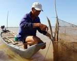 Bão số 4 sẽ làm 