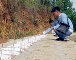 Ân nhân của những thai nhi
