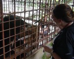 Người dân tặng 5 con gấu ngựa cho Tổ chức Động vật châu Á