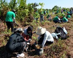 Diễn đàn ASEP 2018: Bài học từ rừng nhiệt đới