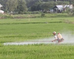 Giúp nông dân làm nông sản sạch