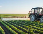 Chất diệt cỏ glyphosate gây ung thư: Monsanto muốn thoát thân?