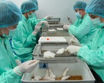 SARS, MERS tới giờ cũng chưa có văcxin, 18 tháng nữa liệu COVID-19 sẽ có như WHO nói?