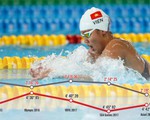 Phải thay huấn luyện viên cho Ánh Viên