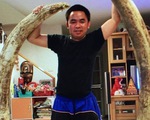 Thái Lan bắt trùm buôn lậu ngà voi gốc Việt